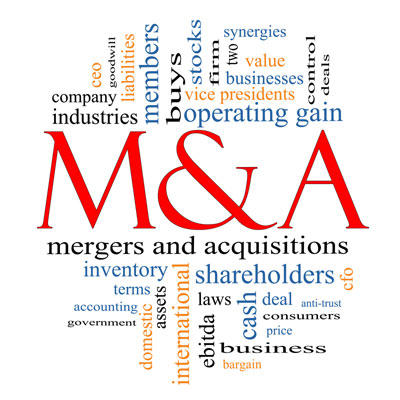 Corporate M and A In Surendranagar